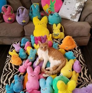 Easter Spring Sale.